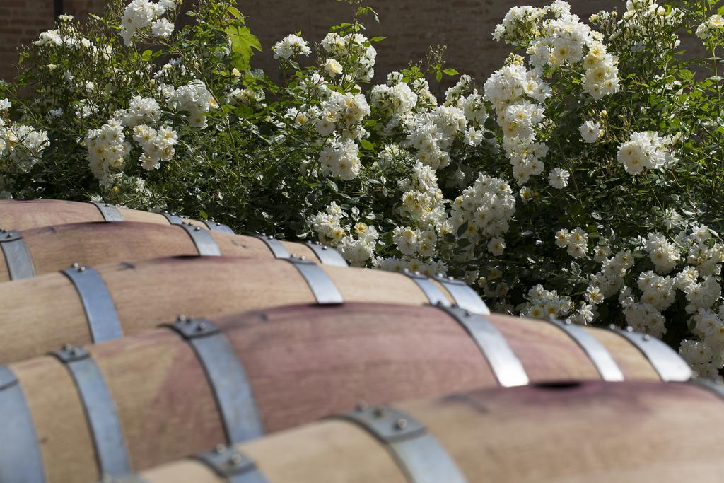 Marchesi Alfieri - Cantine E Ospitalita San Martino Alfieri Экстерьер фото