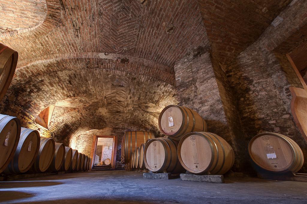 Marchesi Alfieri - Cantine E Ospitalita San Martino Alfieri Экстерьер фото